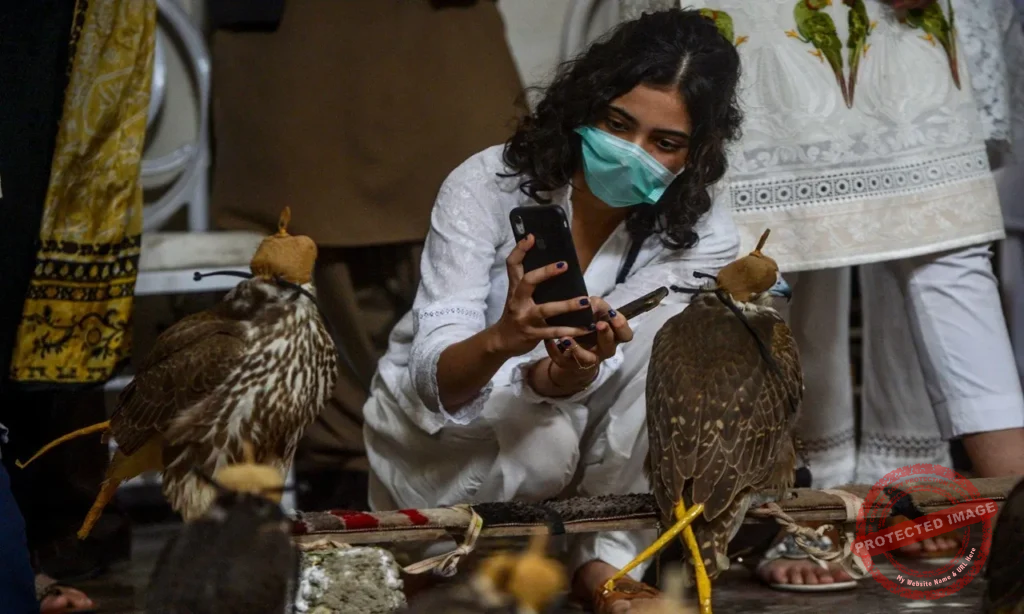 Endangered species lawyer reviewing wildlife protection documents